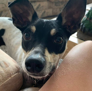 Meet your Posher, Samanthaahaha